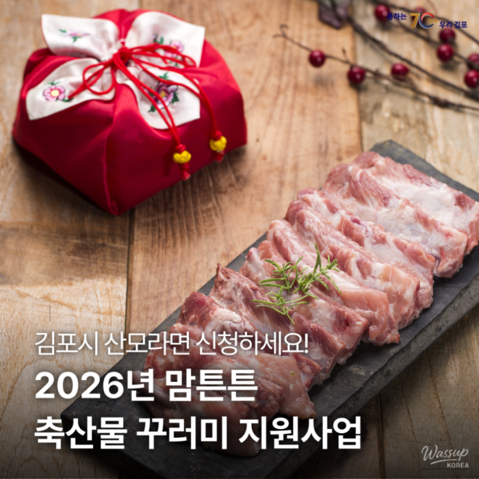 Support for New Mothers in Gimpo City962