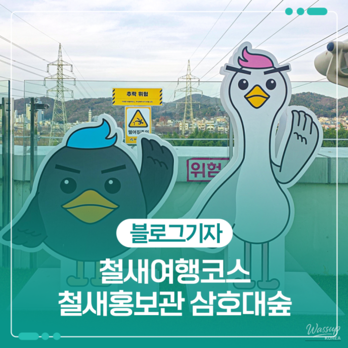 Discovering Ulsan: A Hidden Gem for Birdwatching1423