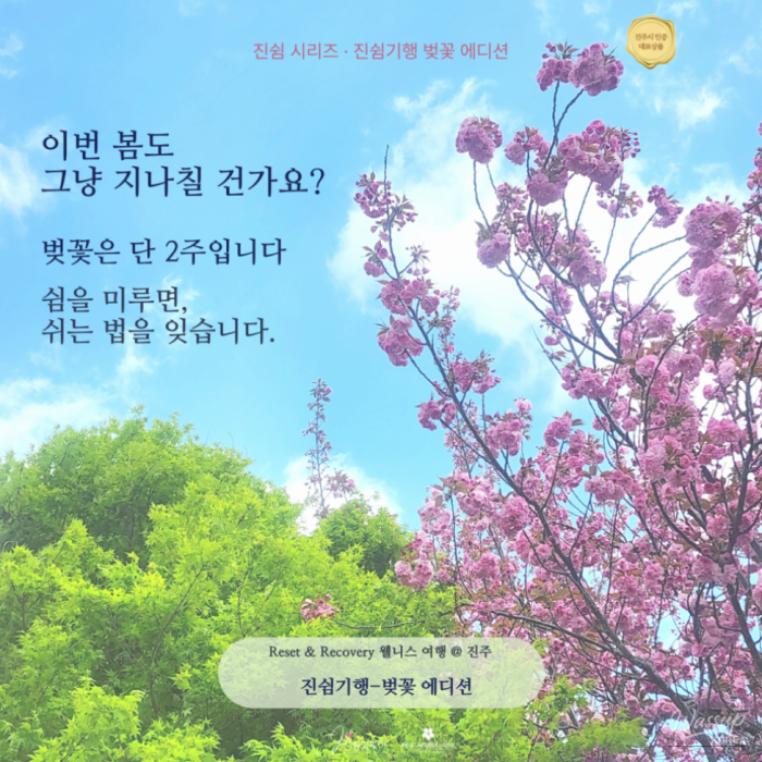 Jinju Wellness Travel: Jinshum Journey Cherry Blossom Edition2706