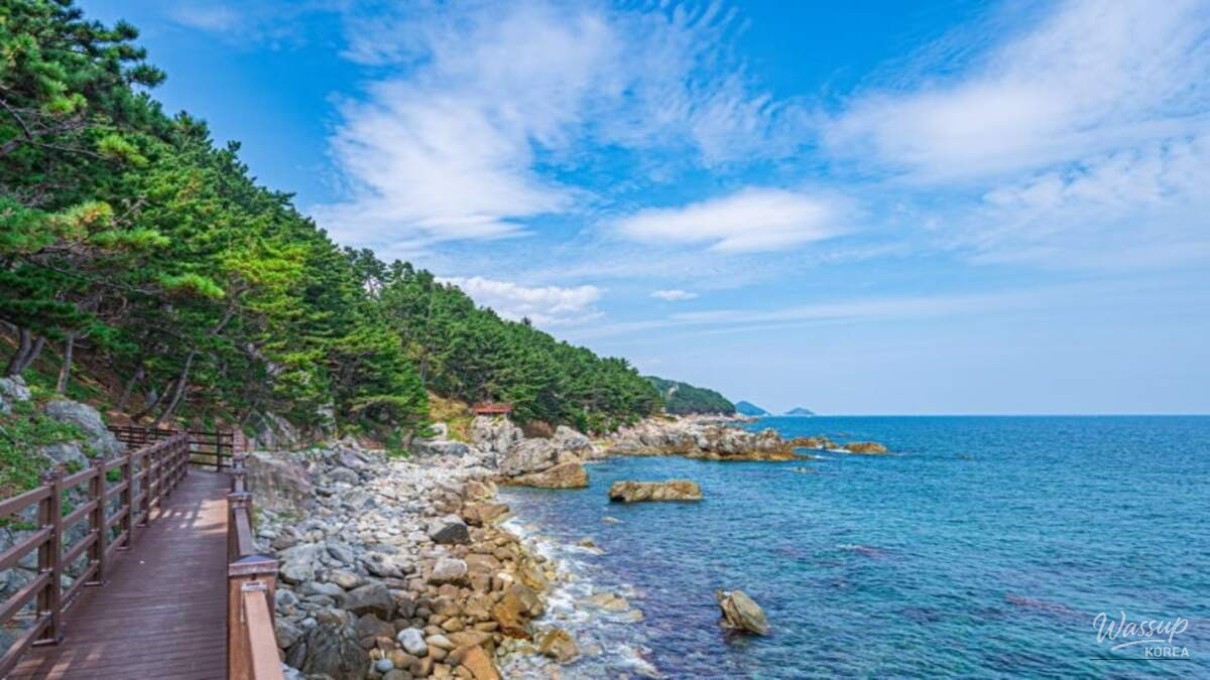 Exploring the Scenic Beauty of Homigot Peninsula Coastal Trail_05