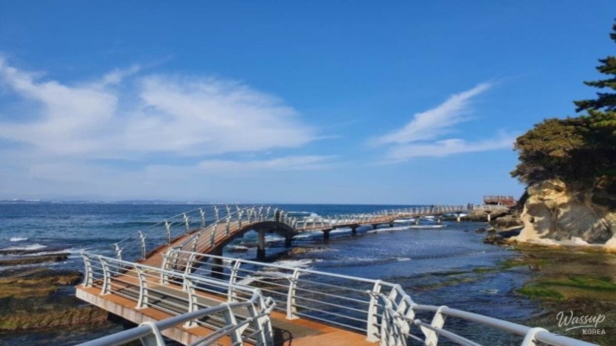 Exploring the Scenic Beauty of Homigot Peninsula Coastal Trail_02