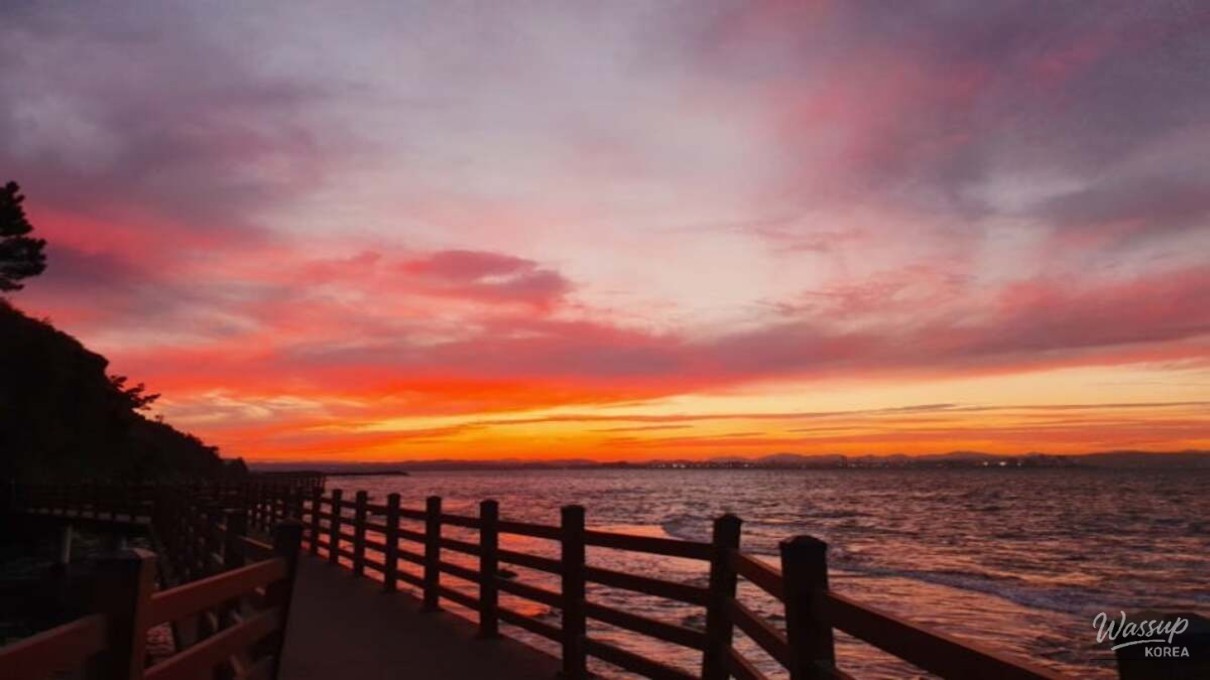 Exploring the Scenic Beauty of Homigot Peninsula Coastal Trail_04