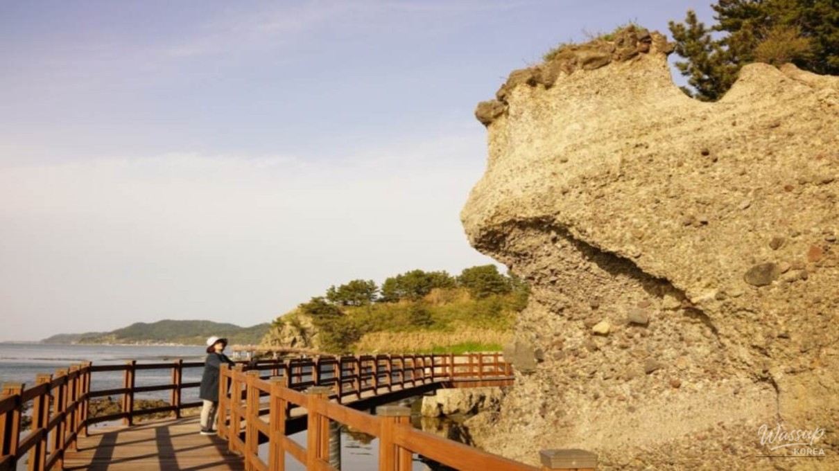 Exploring the Scenic Beauty of Homigot Peninsula Coastal Trail_03