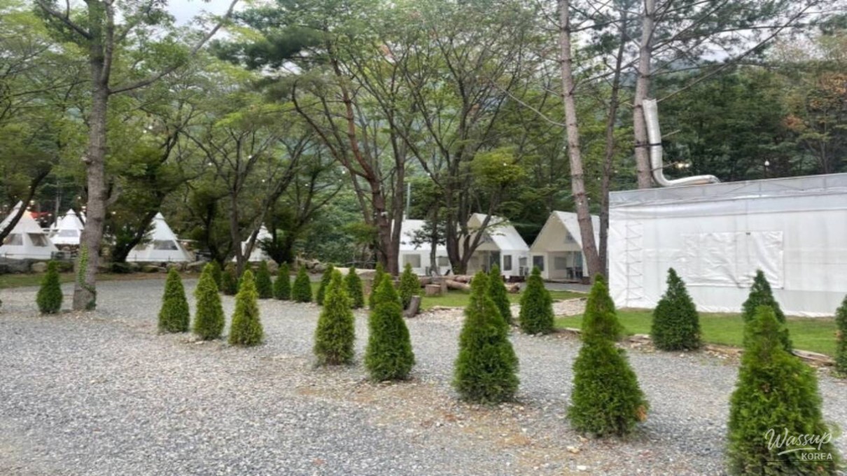 Discovering the Beauty of Baekdong Reservoir_04