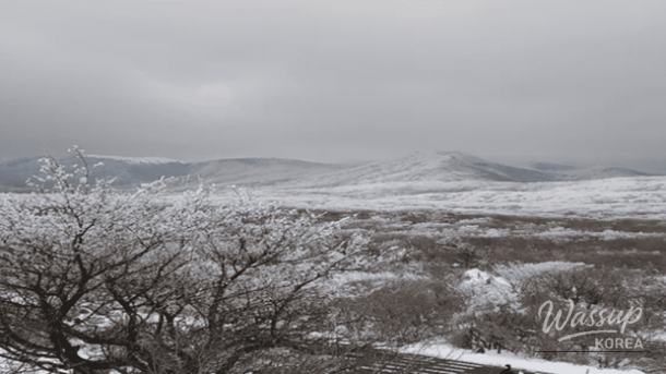 Top 4 Highland Travel Destinations to Experience Early Spring in Korea_03