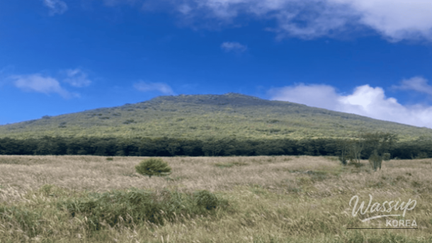 Top 4 Highland Travel Destinations to Experience Early Spring in Korea_05