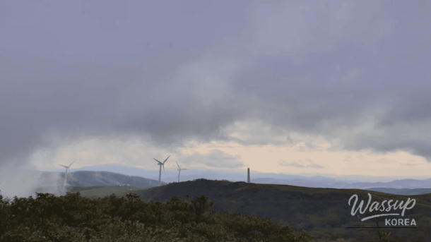 Top 4 Highland Travel Destinations to Experience Early Spring in Korea_04