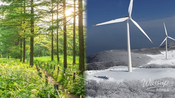 Top 4 Highland Travel Destinations to Experience Early Spring in Korea_01