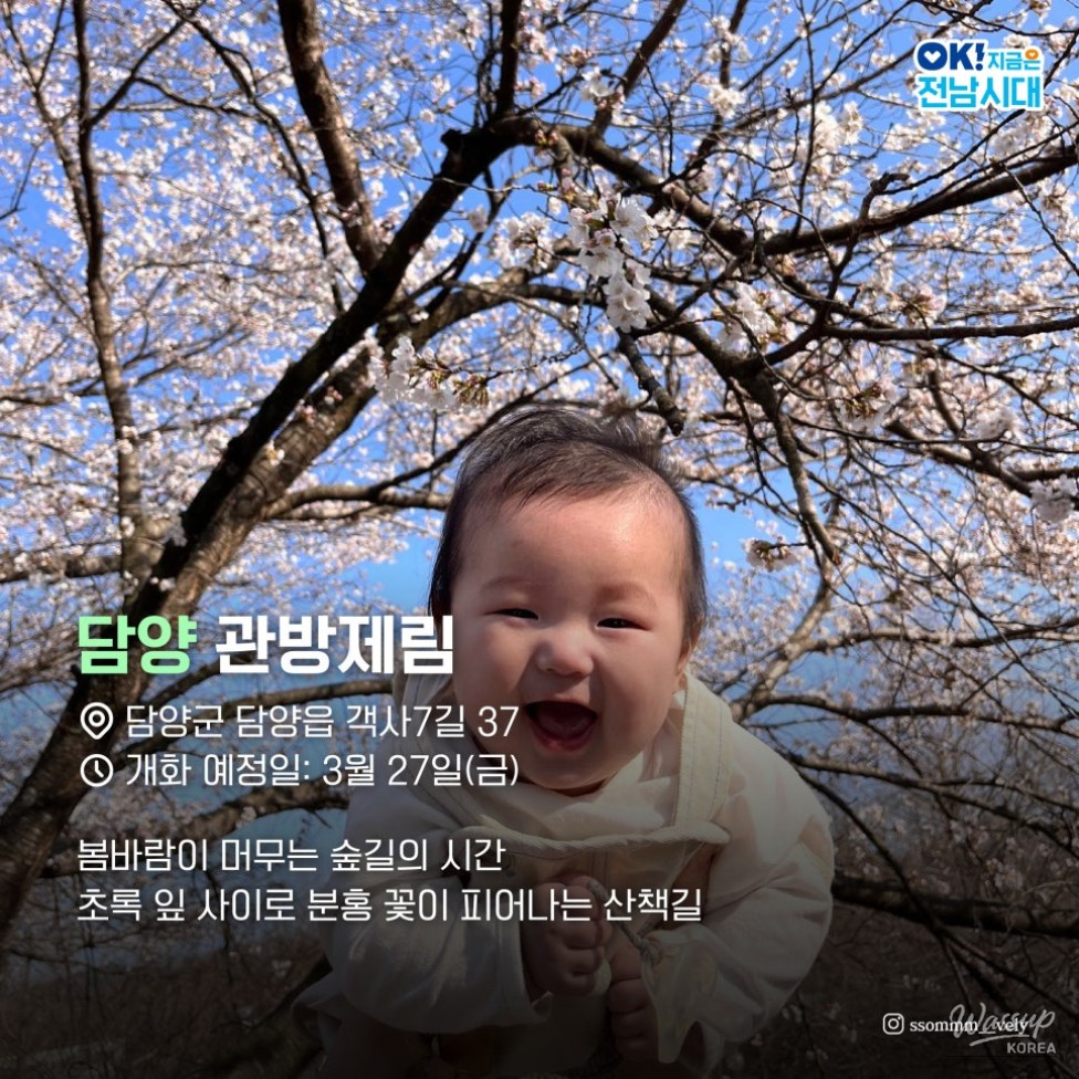 Spring Blossom Adventures in Jeonnam_03