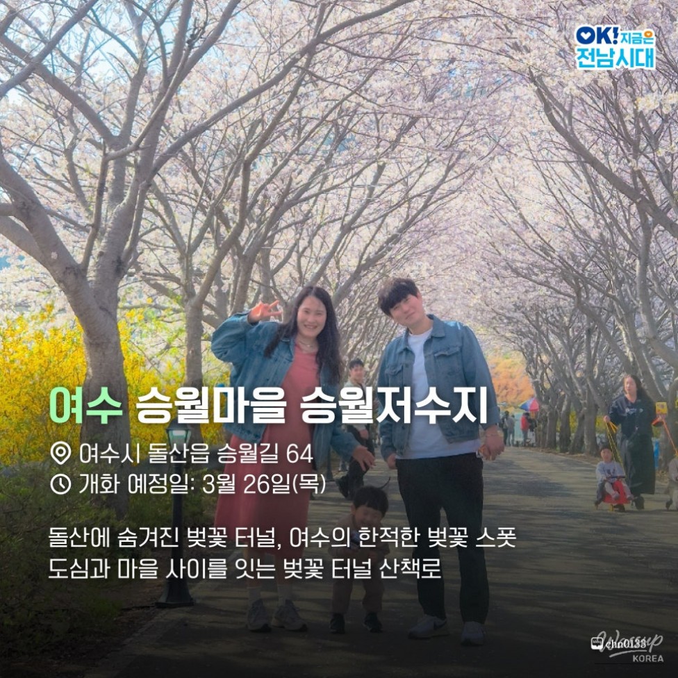 Spring Blossom Adventures in Jeonnam_04