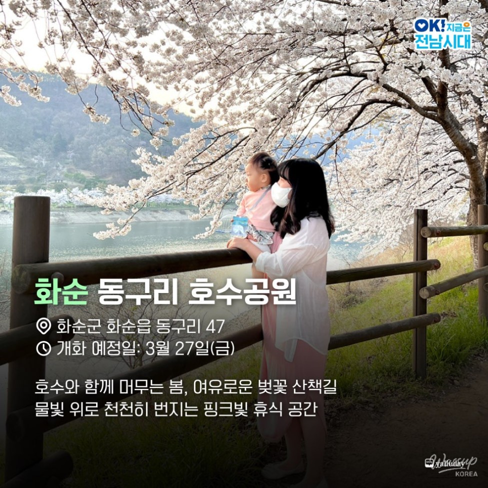Spring Blossom Adventures in Jeonnam_05