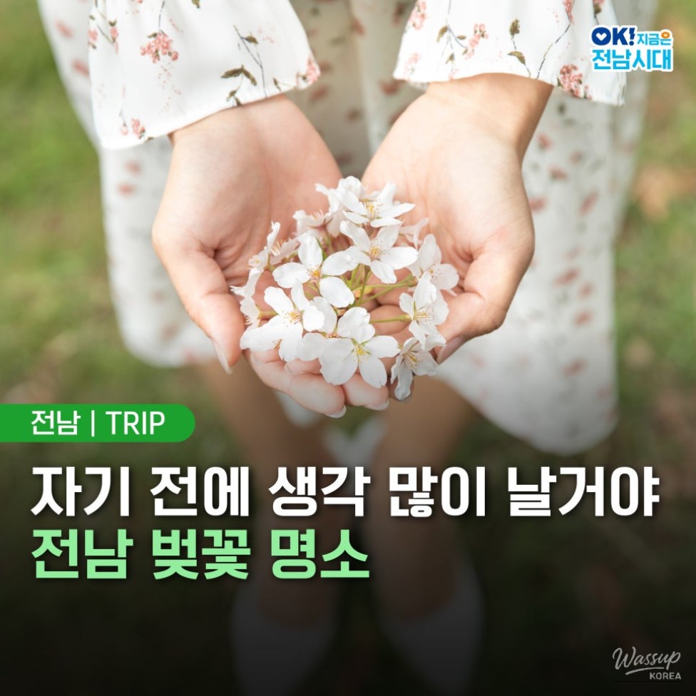 Spring Blossom Adventures in Jeonnam_01