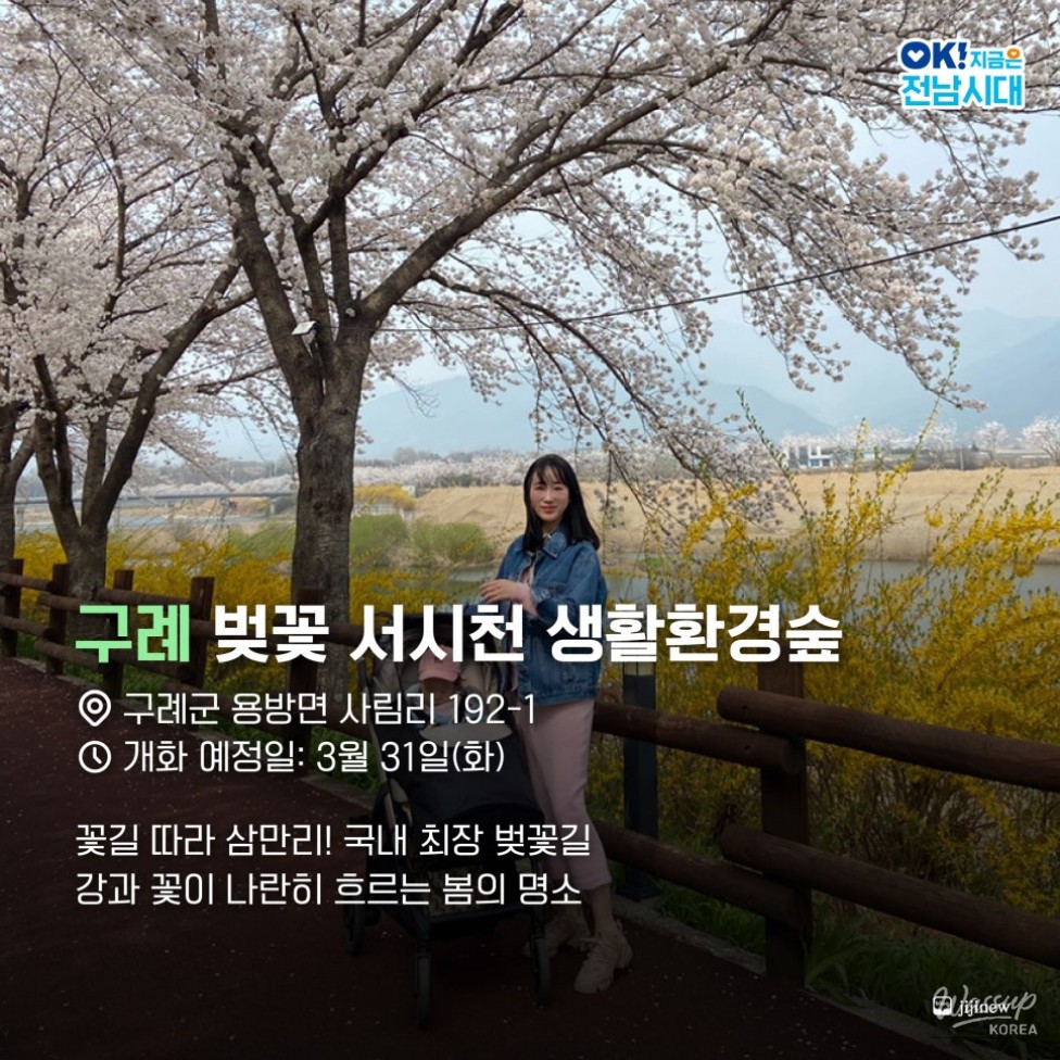 Spring Blossom Adventures in Jeonnam_02