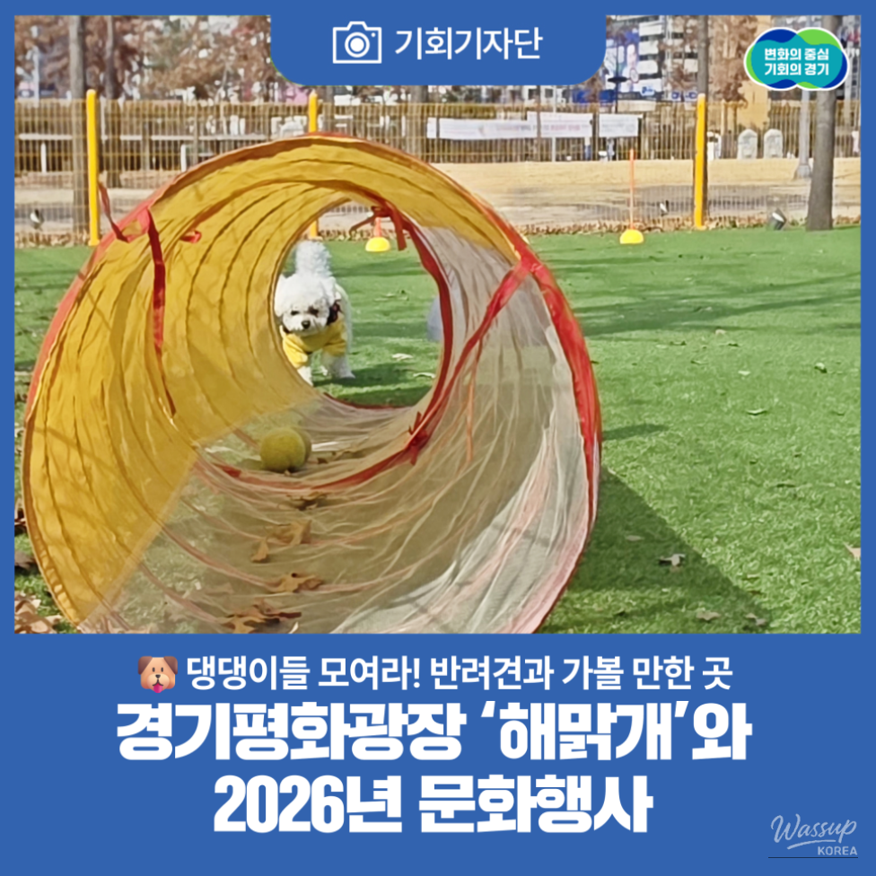 Enjoying Culture and Nature at Gyeonggi Peace Plaza_01