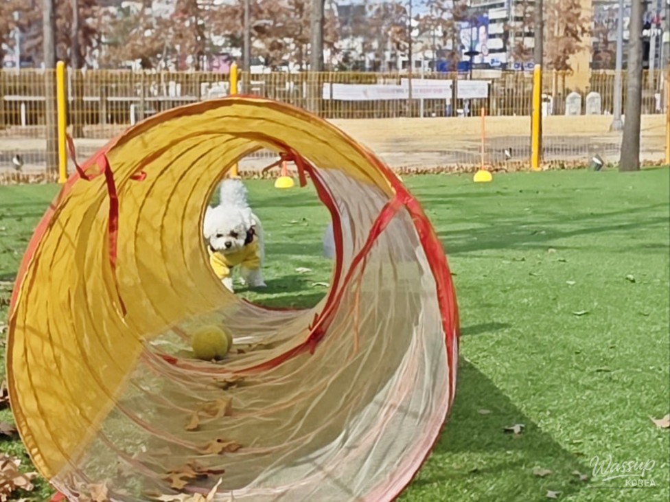 Enjoying Culture and Nature at Gyeonggi Peace Plaza_02