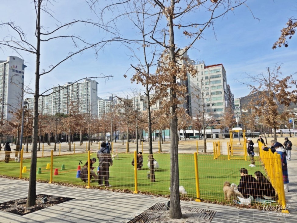 Enjoying Culture and Nature at Gyeonggi Peace Plaza_03