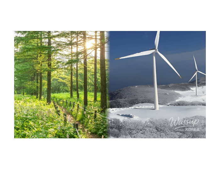 Top 4 Highland Travel Destinations to Experience Early Spring in Korea float