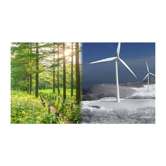 Top 4 Highland Travel Destinations to Experience Early Spring in Korea2718