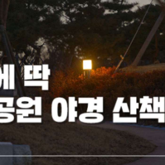 The Stunning Night View of Iksan's Madong Neighborhood Park1429