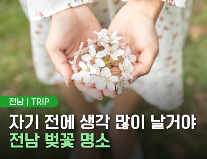 Spring Blossom Adventures in Jeonnam float