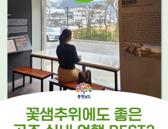 Three Must-Visit Indoor Spots in Gongju to Enjoy the Warmth of Spring float