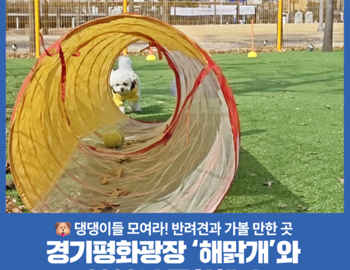 Enjoying Culture and Nature at Gyeonggi Peace Plaza float