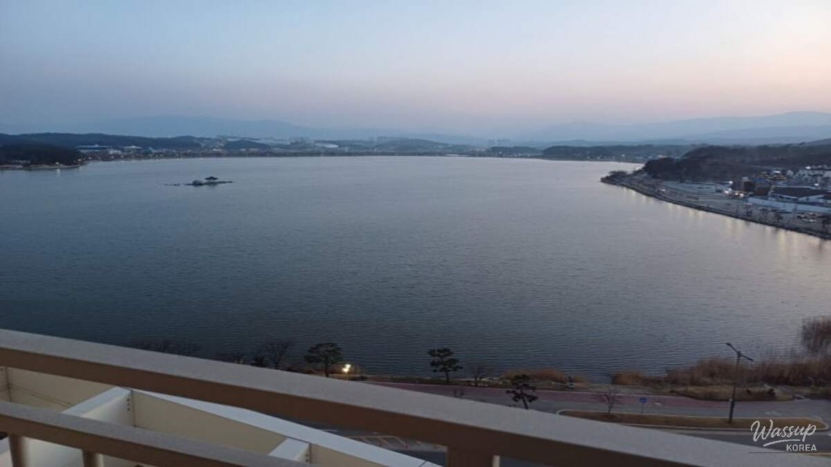 Exploring the Wonders of Gyeongpo Aquarium_05