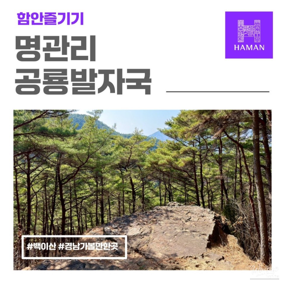 Discovering Dinosaur Footprints in Haman_01