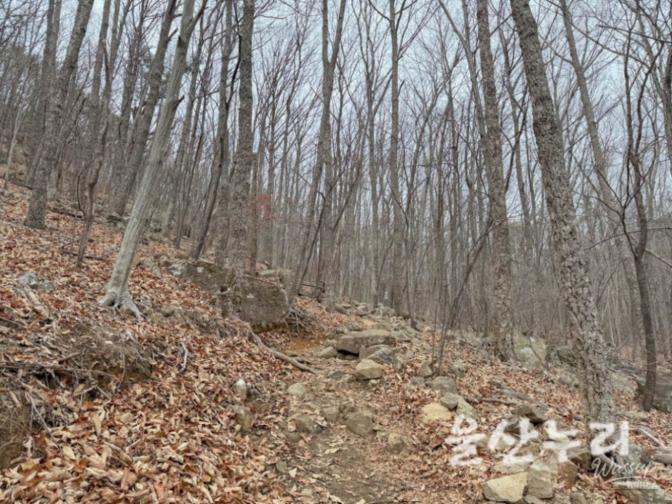 Exploring the Yeongnam Alps: A Winter Hiking Adventure_17