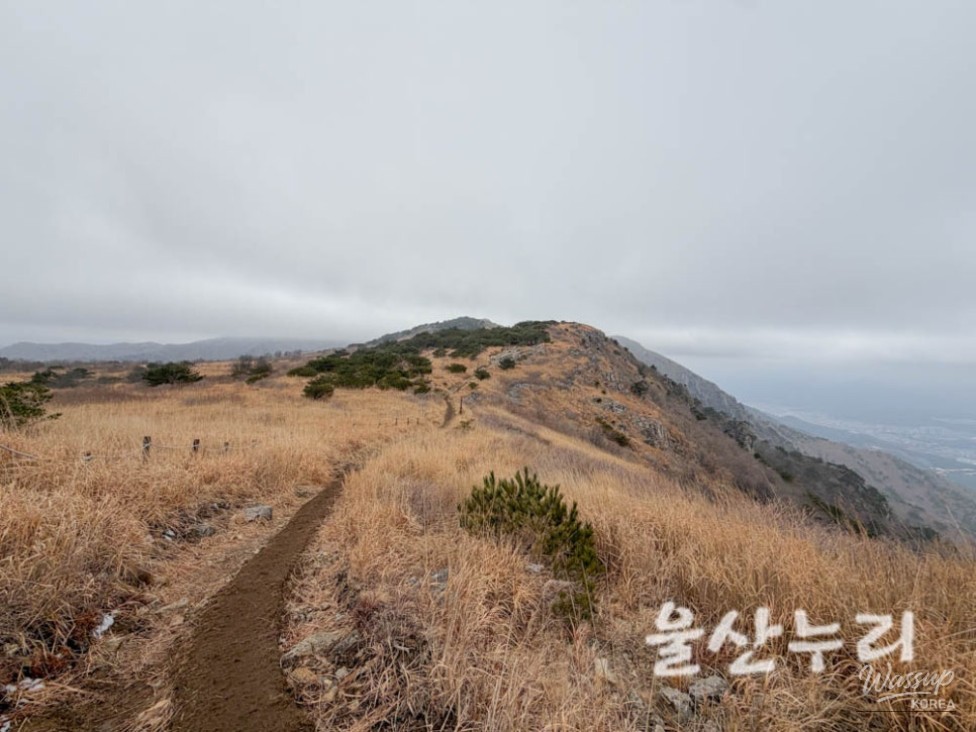 Exploring the Yeongnam Alps: A Winter Hiking Adventure_02