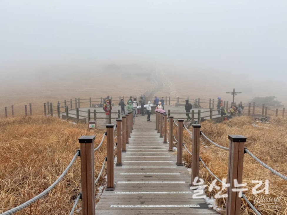 Exploring the Yeongnam Alps: A Winter Hiking Adventure_09