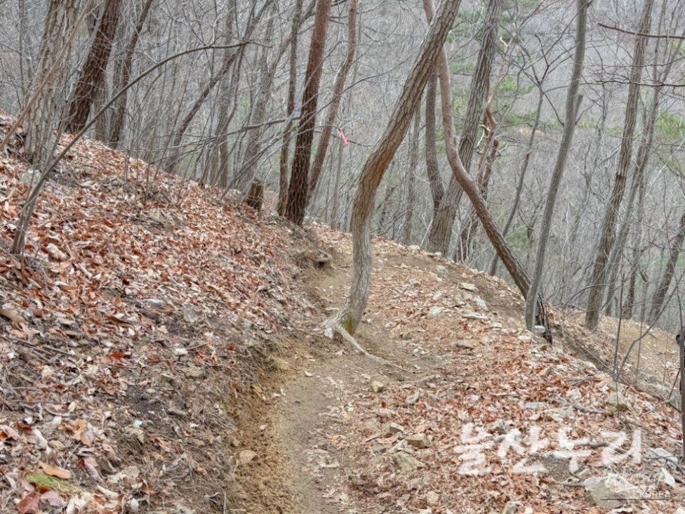 Exploring the Yeongnam Alps: A Winter Hiking Adventure_07