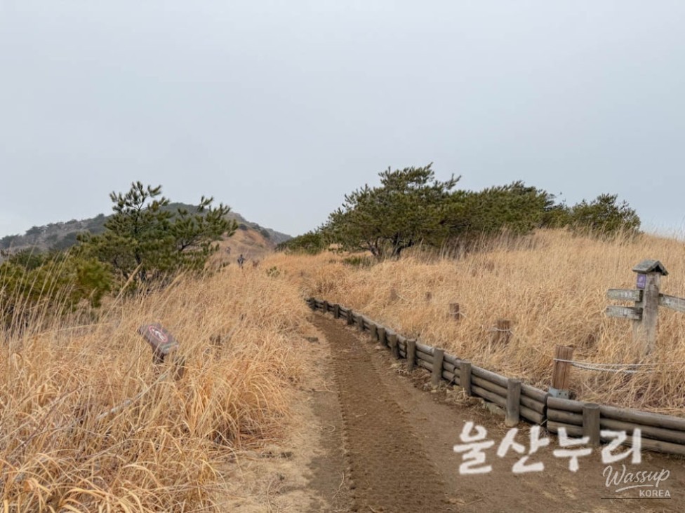Exploring the Yeongnam Alps: A Winter Hiking Adventure_15