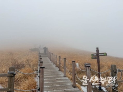 Exploring the Yeongnam Alps: A Winter Hiking Adventure_13