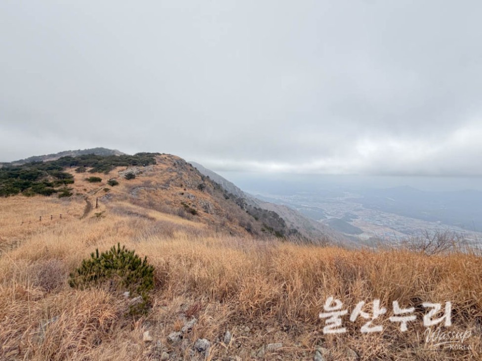 Exploring the Yeongnam Alps: A Winter Hiking Adventure_19