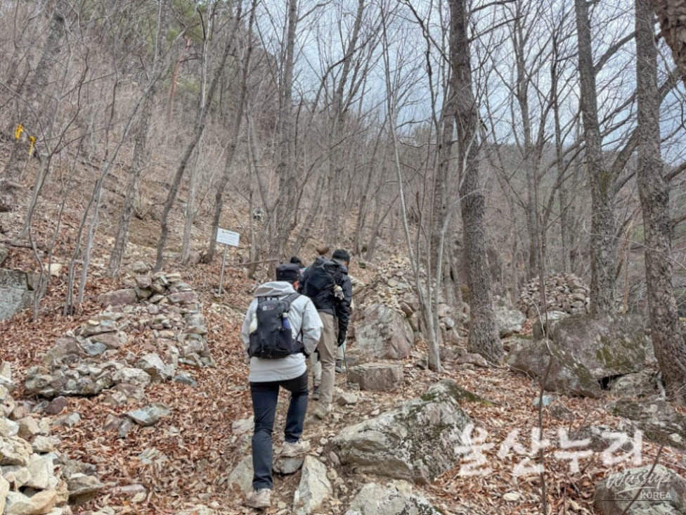 Exploring the Yeongnam Alps: A Winter Hiking Adventure_08