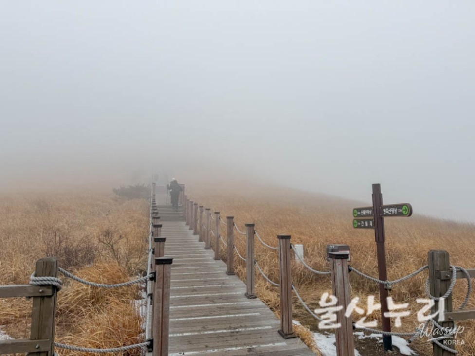 Exploring the Yeongnam Alps: A Winter Hiking Adventure_10