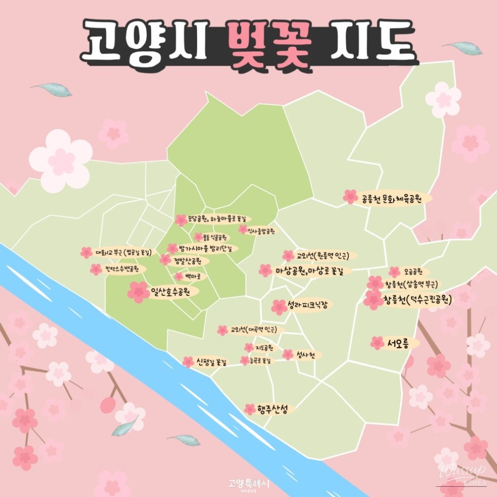 Spring Blooms in Goyang City_05