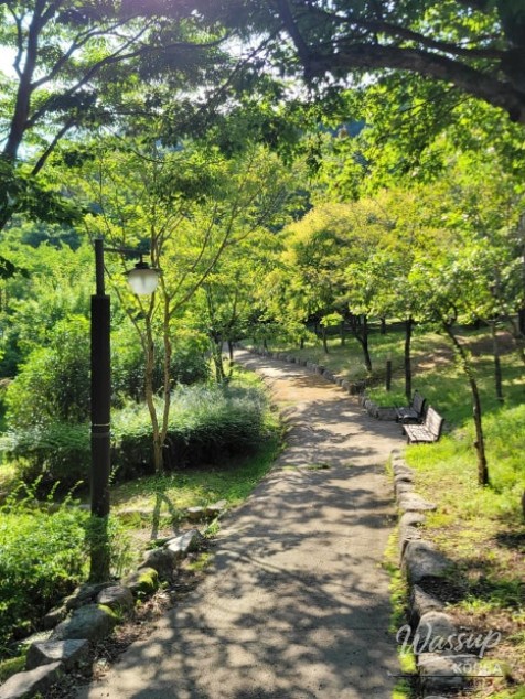 Spring Trekking at Palgongsan_06