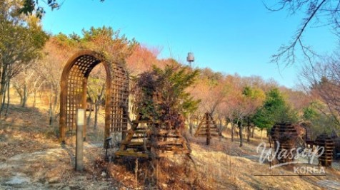 Spring Trekking at Palgongsan_03