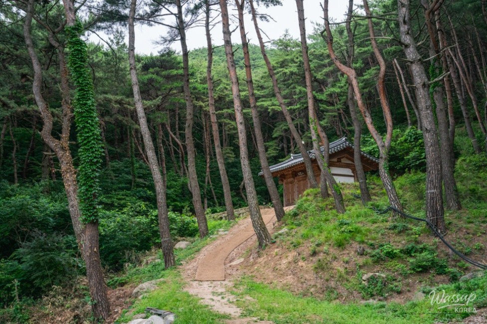 Spring Trekking at Palgongsan_11