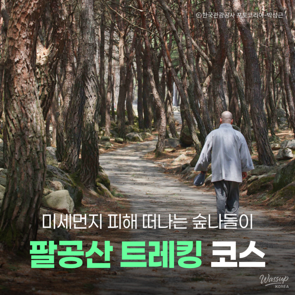 Spring Trekking at Palgongsan_01