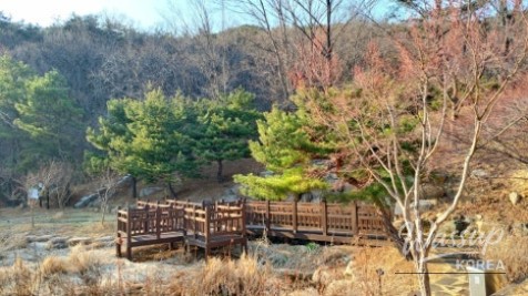 Spring Trekking at Palgongsan_04