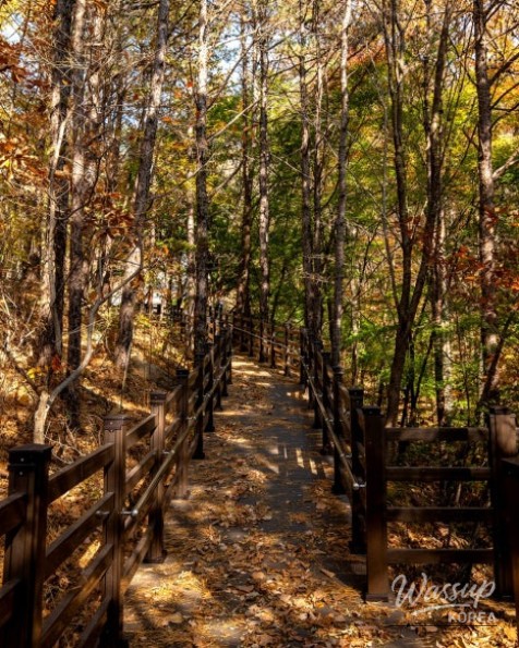 Spring Trekking at Palgongsan_05