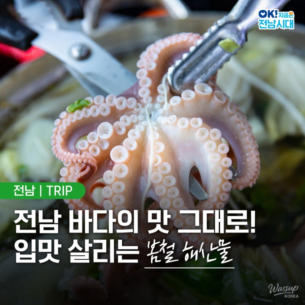 Spring Delicacies from Jeonnam's Coastal Waters_01
