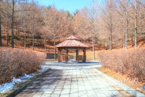 Discover the Hidden Gems of Yesan_03