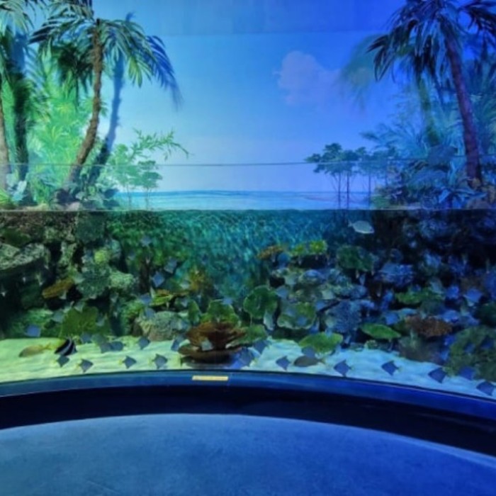 Exploring the Wonders of Gyeongpo Aquarium2745