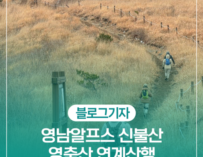 Exploring the Yeongnam Alps: A Winter Hiking Adventure float