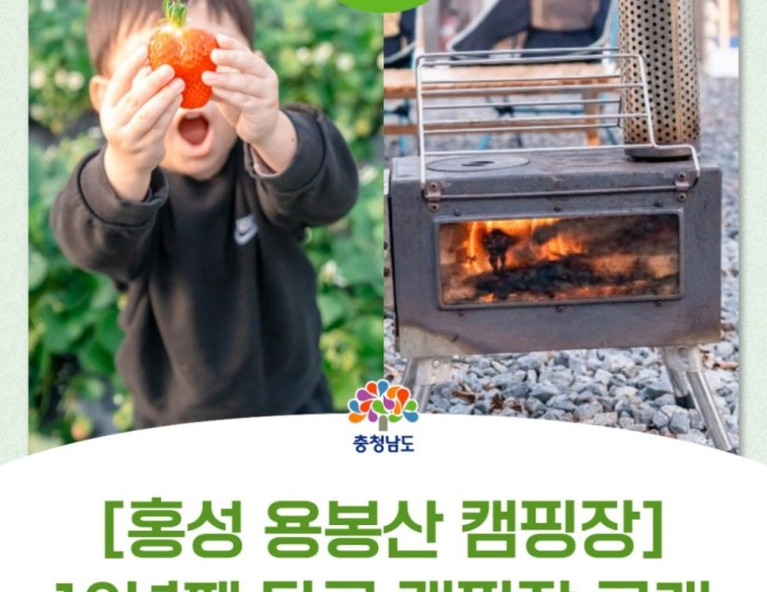 Spring Strawberry Picking Experience at Yongbongsan Campground float