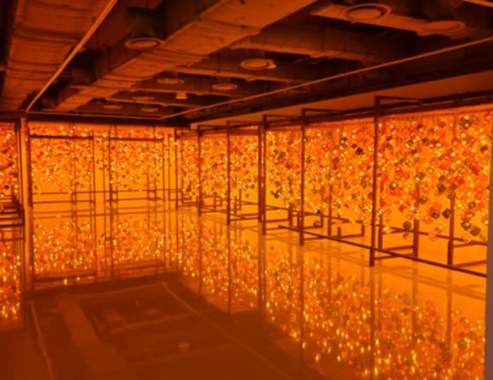 Explore the Light Museum in Yangju float